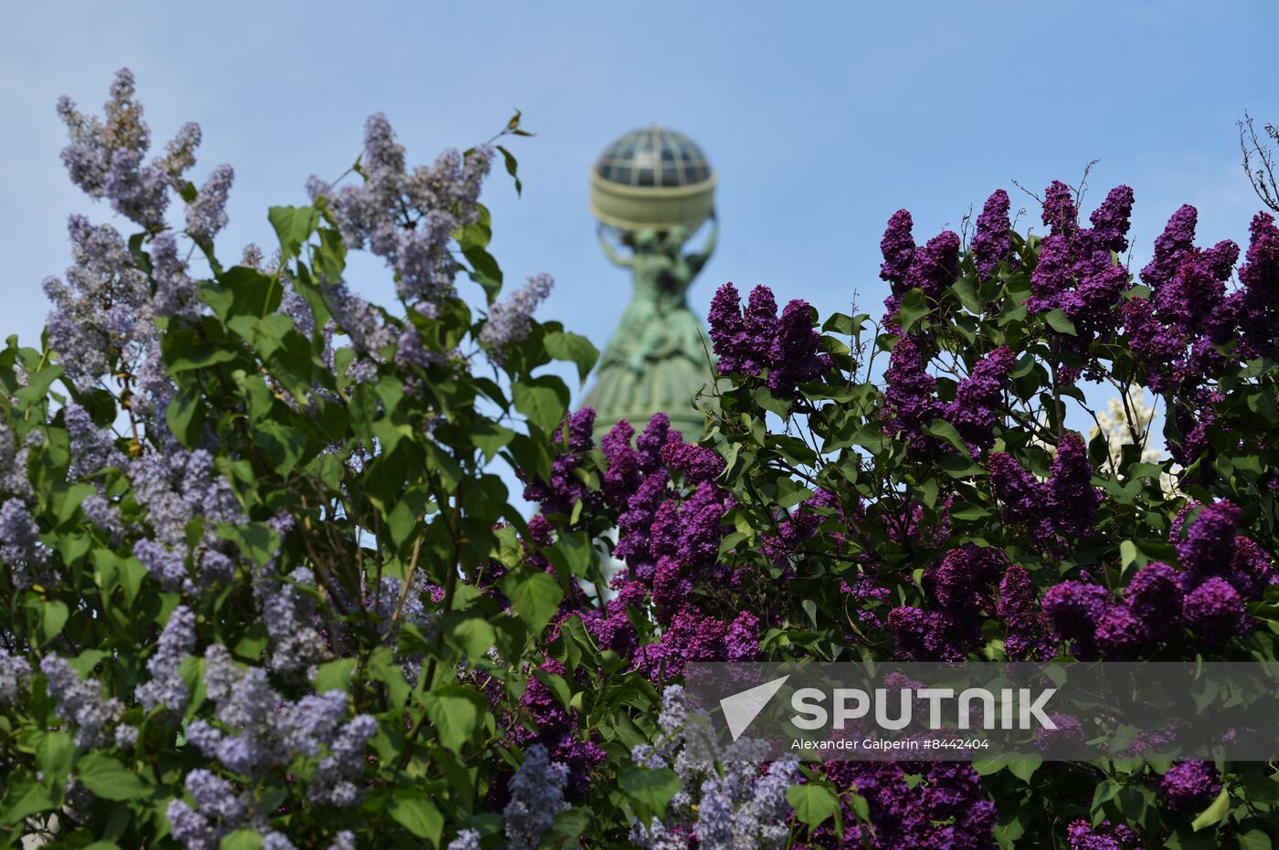 Russia Blooming Season