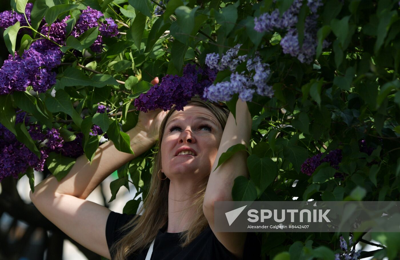 Russia Blooming Season