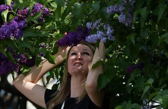 Russia Blooming Season