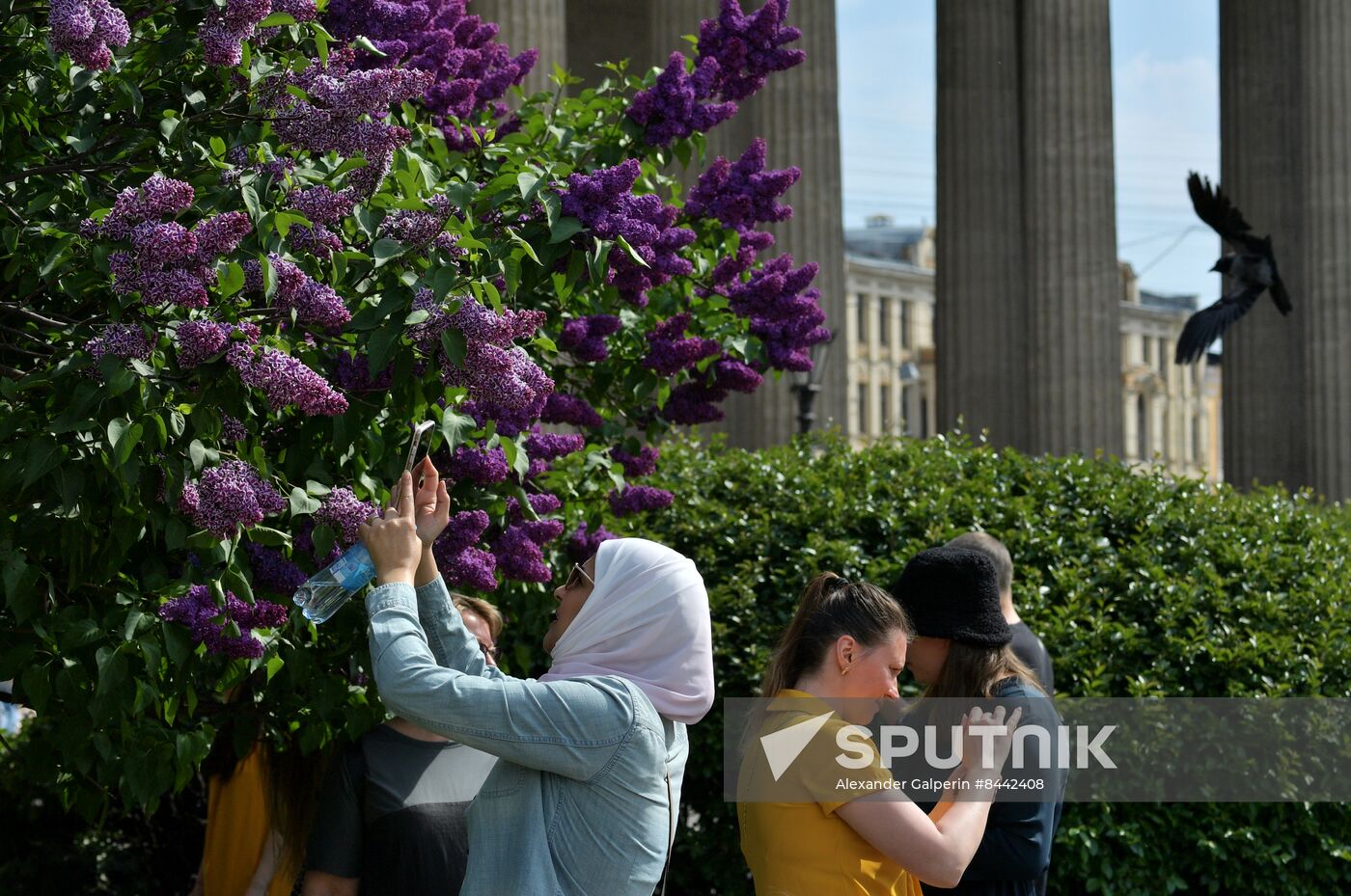 Russia Blooming Season