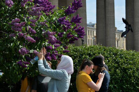 Russia Blooming Season