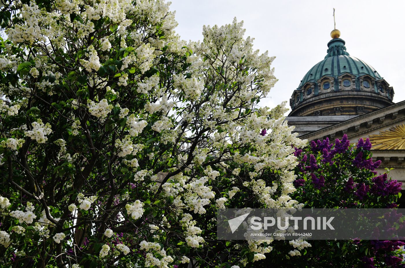 Russia Blooming Season