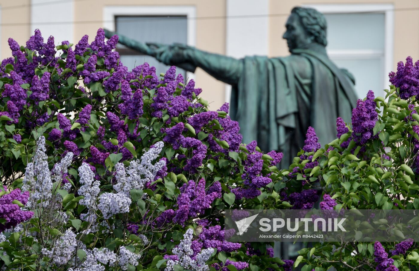 Russia Blooming Season