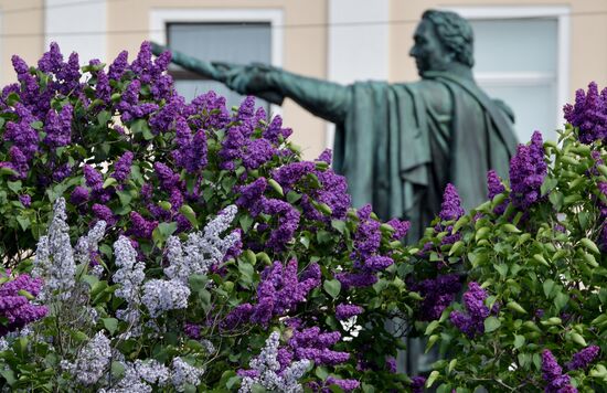 Russia Blooming Season