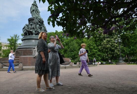 Russia Blooming Season