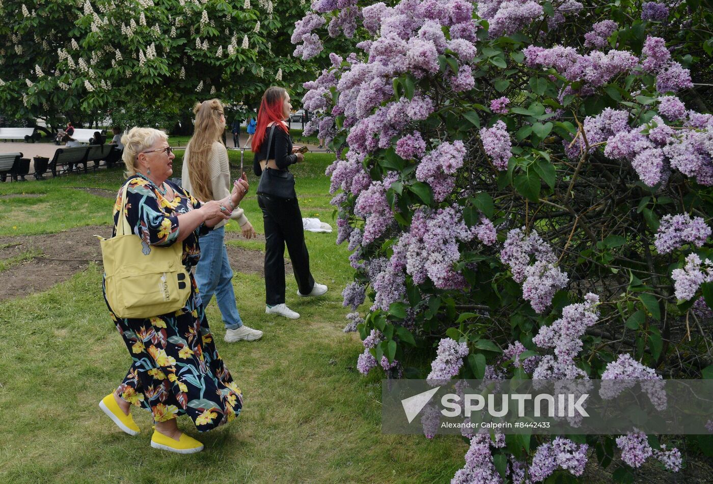 Russia Blooming Season