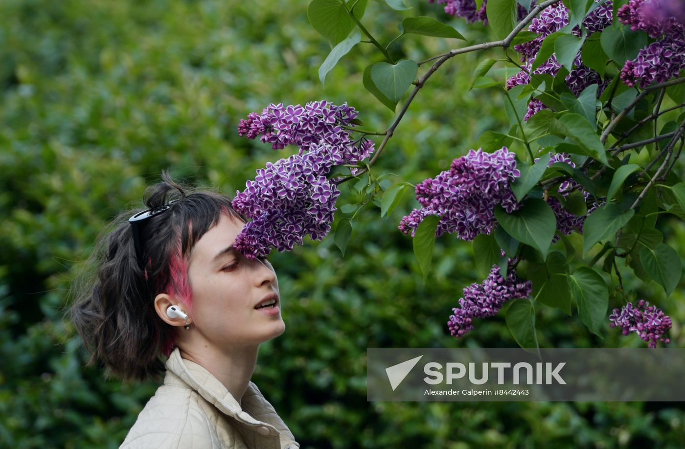 Russia Blooming Season