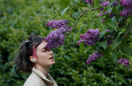 Russia Blooming Season