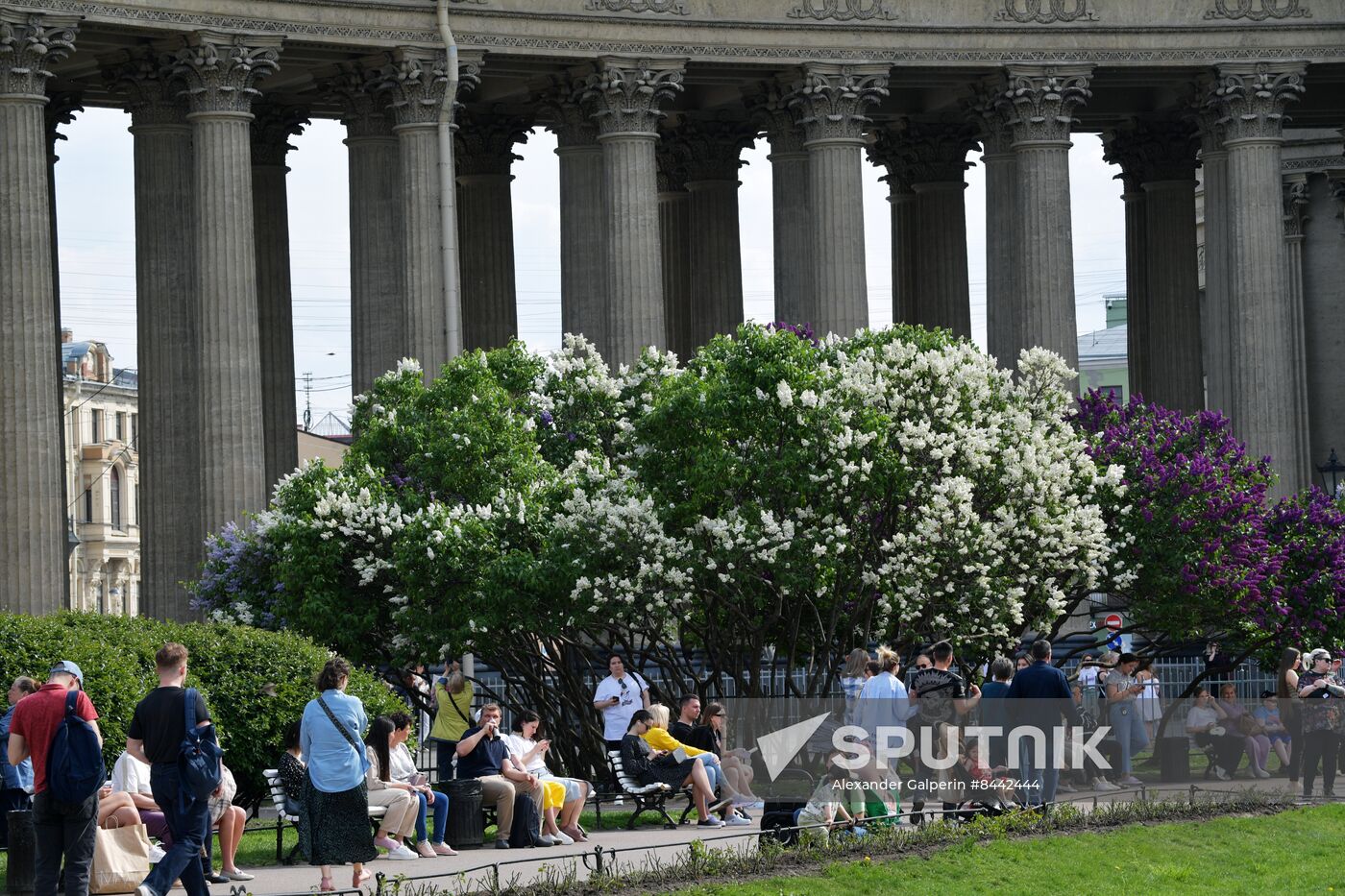 Russia Blooming Season