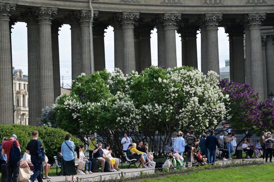 Russia Blooming Season