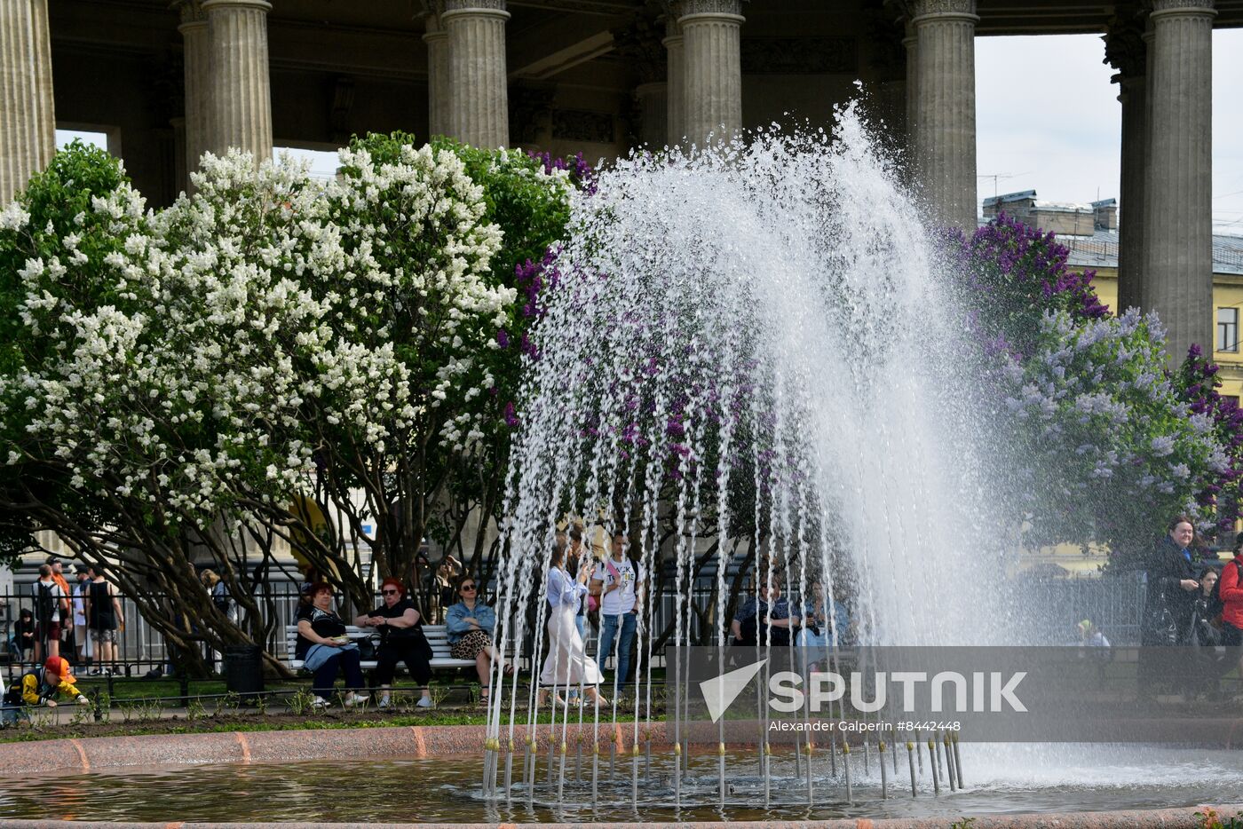 Russia Blooming Season