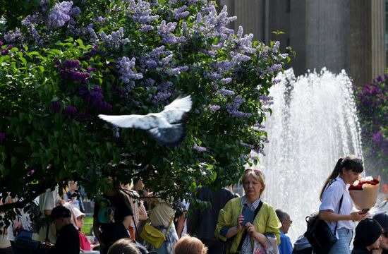 Russia Blooming Season