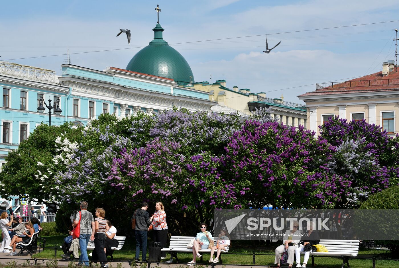 Russia Blooming Season