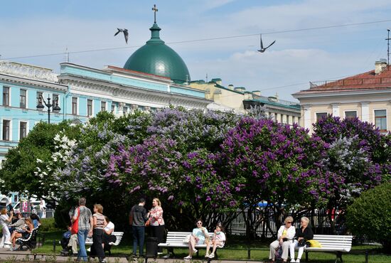 Russia Blooming Season
