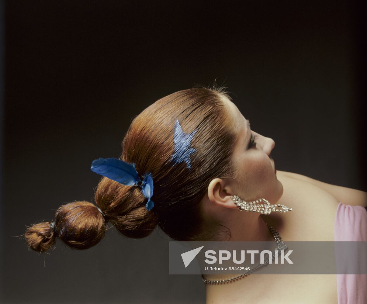 Hairdresser Anatoly Farber