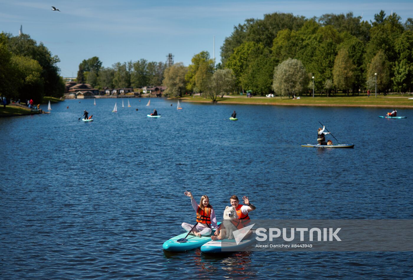 Russia Petshop Days Festival