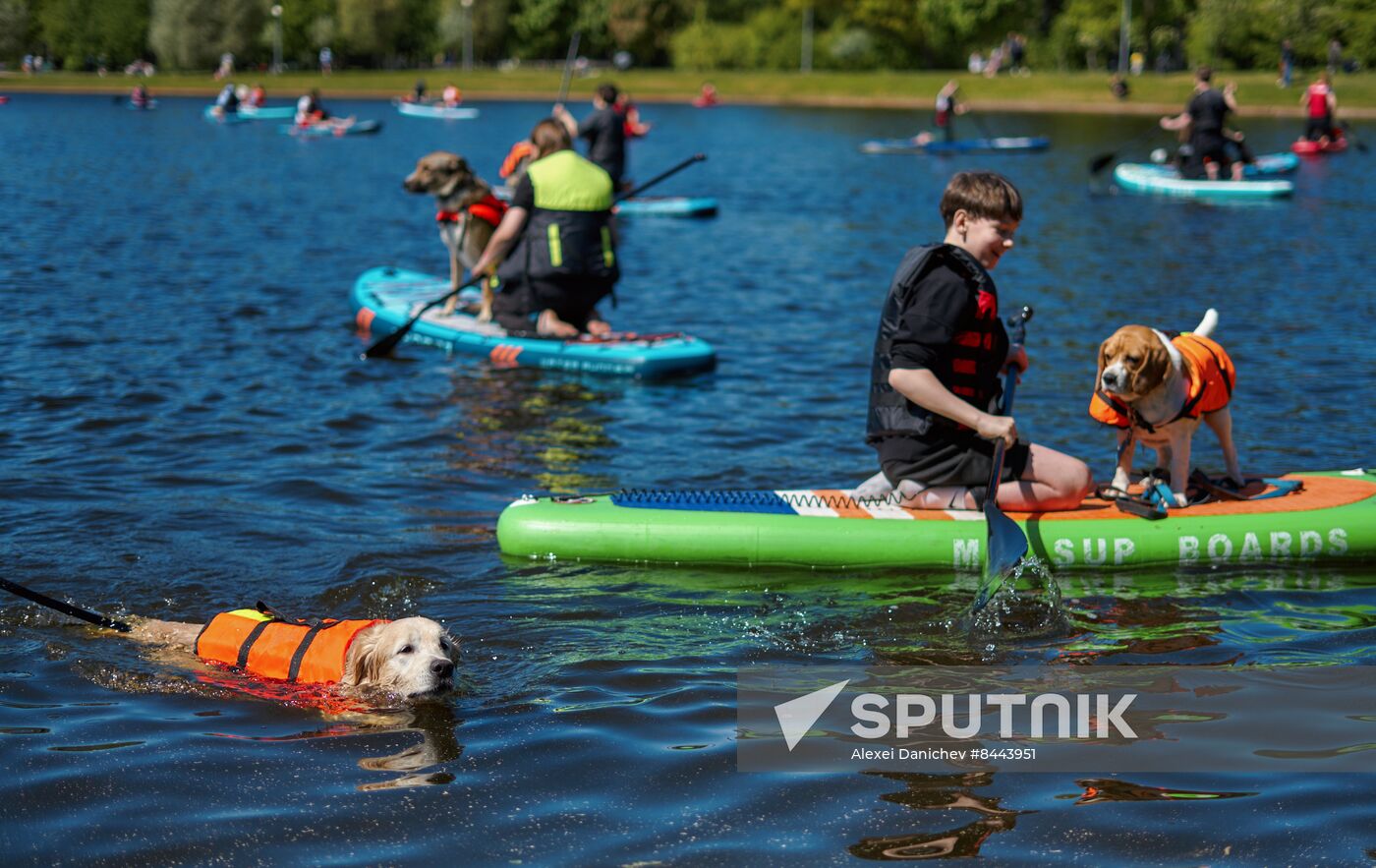 Russia Petshop Days Festival