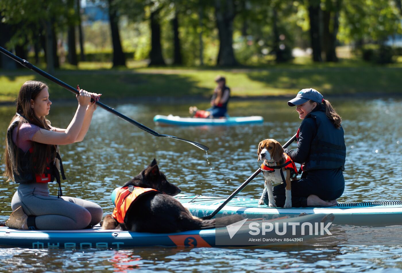 Russia Petshop Days Festival