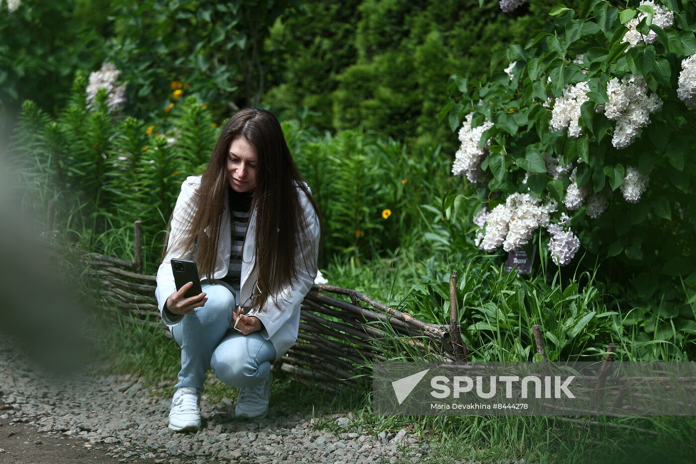 Lilac exhibition at Moscow State University's Botanical Garden