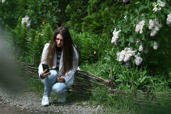 Lilac exhibition at Moscow State University's Botanical Garden