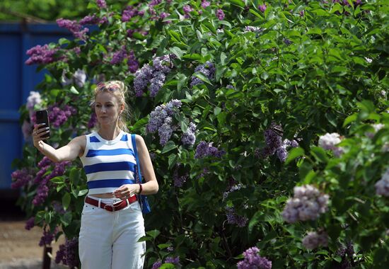 Lilac exhibition at Moscow State University's Botanical Garden