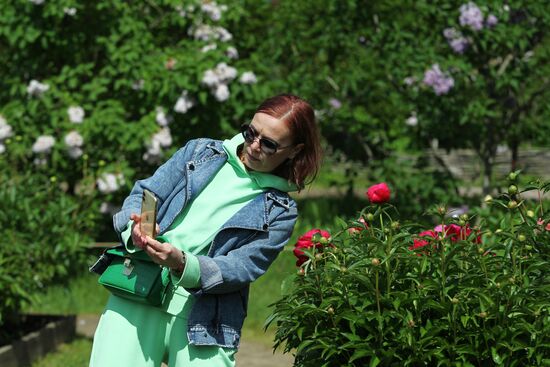 Lilac exhibition at Moscow State University's Botanical Garden