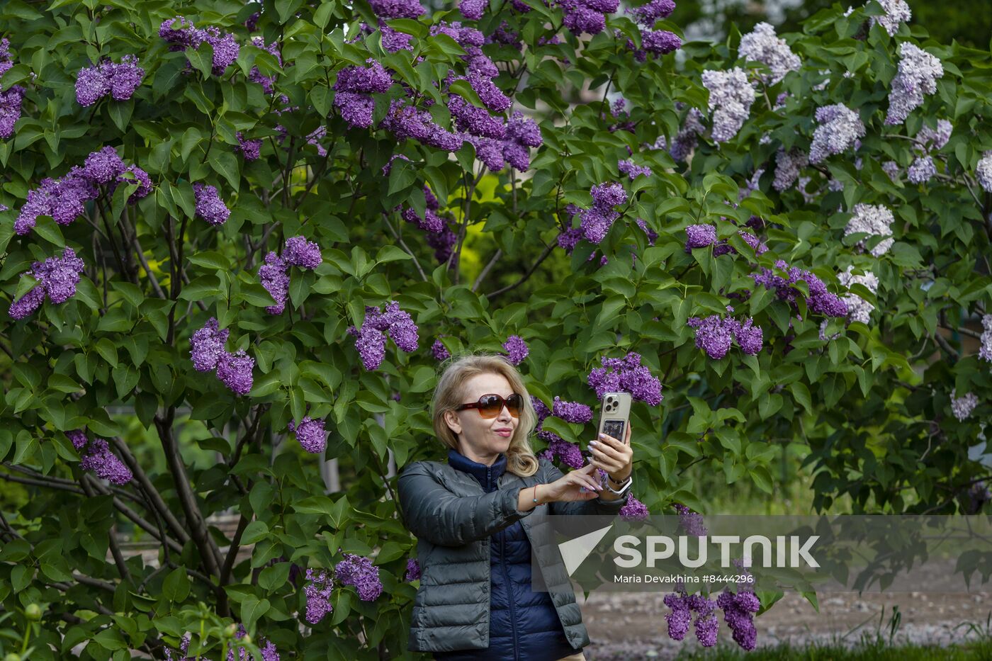 Lilac exhibition at Moscow State University's Botanical Garden