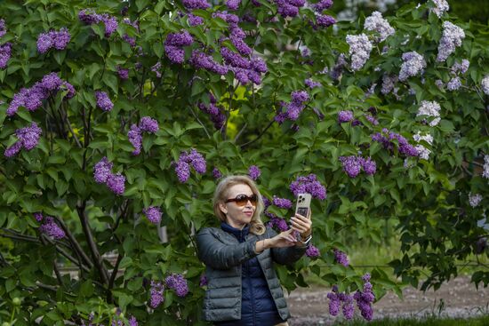 Lilac exhibition at Moscow State University's Botanical Garden