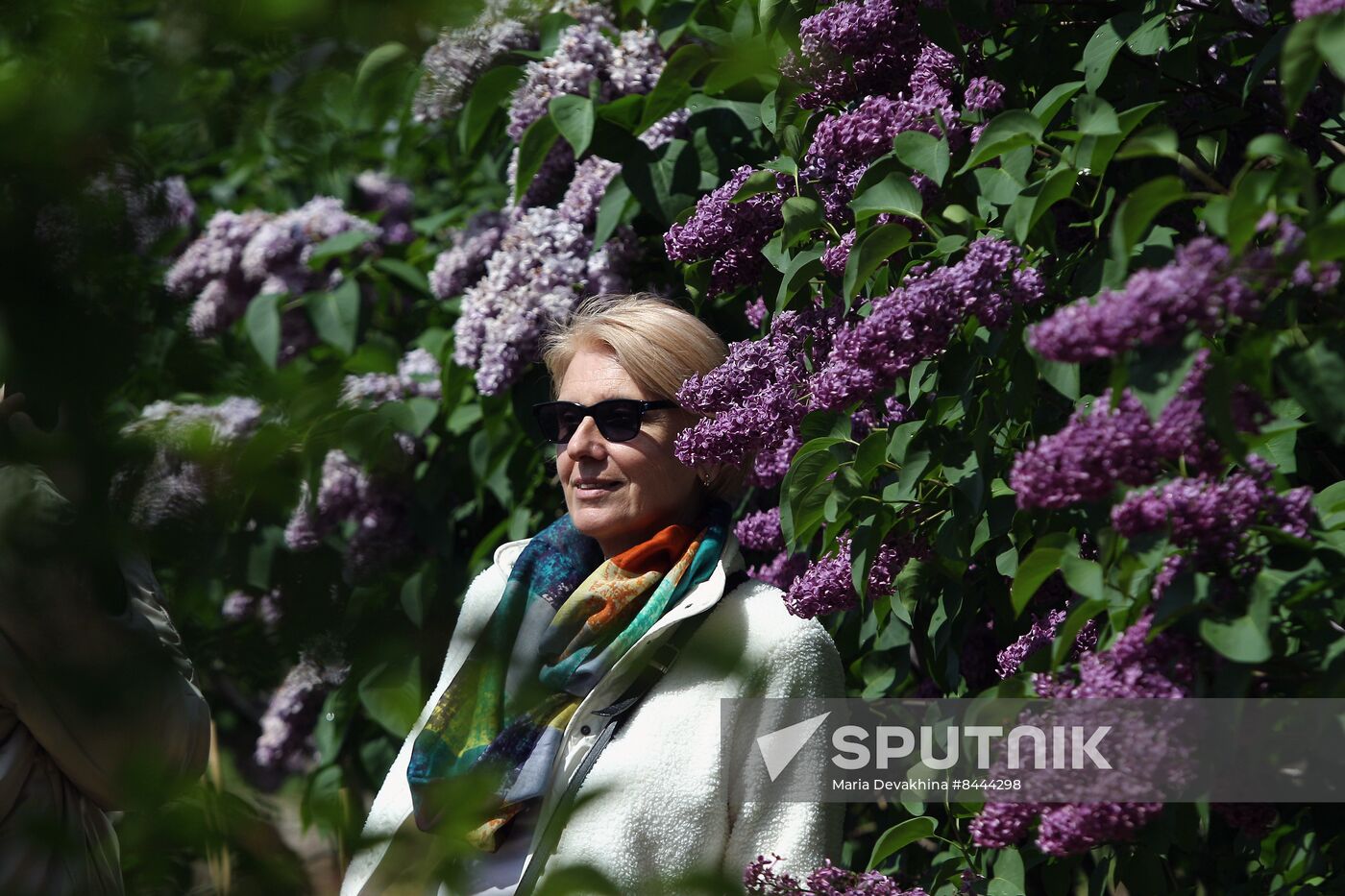 Lilac exhibition at Moscow State University's Botanical Garden