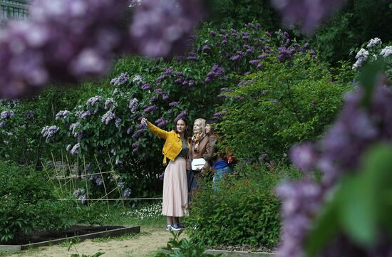 Lilac exhibition at Moscow State University's Botanical Garden