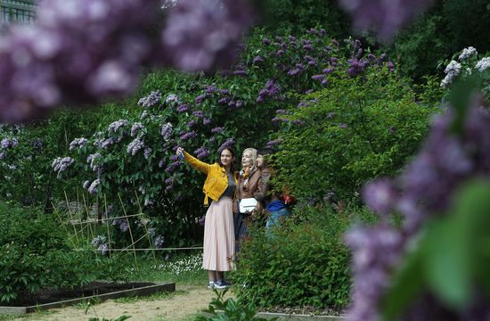 Lilac exhibition at Moscow State University's Botanical Garden