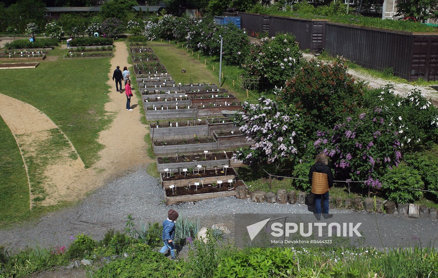 Lilac exhibition at Moscow State University's Botanical Garden