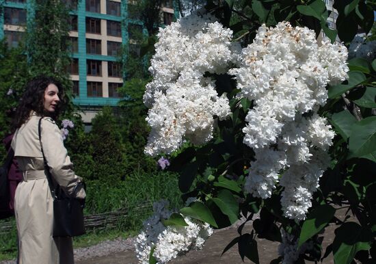 Lilac exhibition at Moscow State University's Botanical Garden