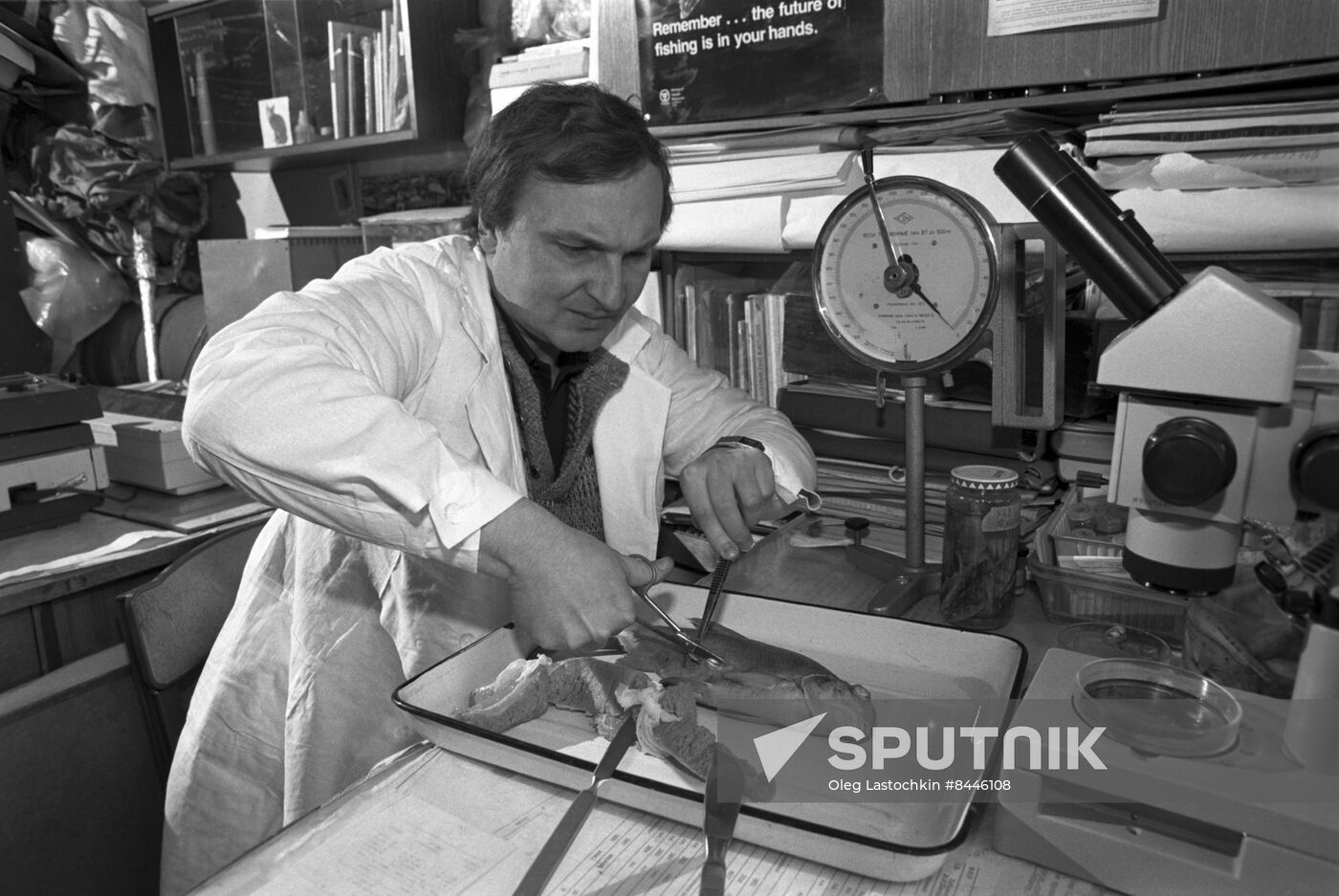 Severtsov Institute of Ecology and Evolution Problems of the Russian Academy of Sciences