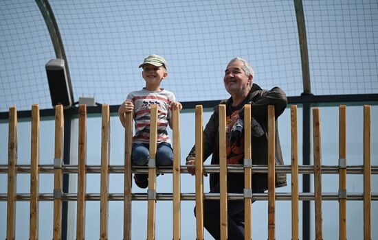 Russia Children's Day Zoo