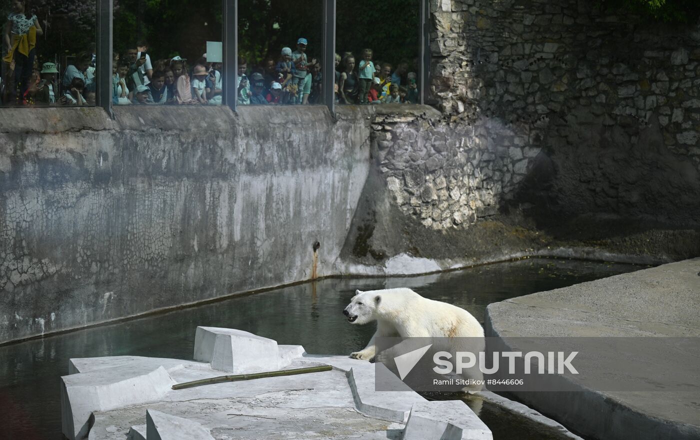 Russia Children's Day Zoo