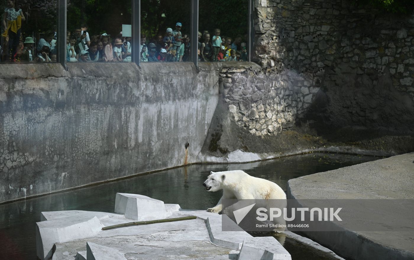 Russia Children's Day Zoo