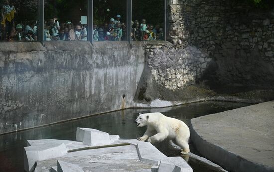 Russia Children's Day Zoo