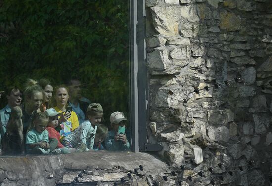 Russia Children's Day Zoo