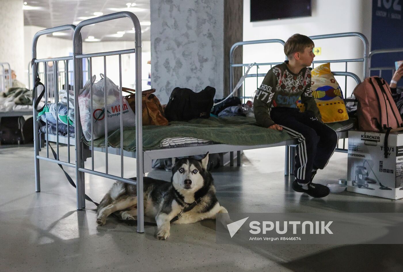 Russia Ukraine Military Operation Evacuees