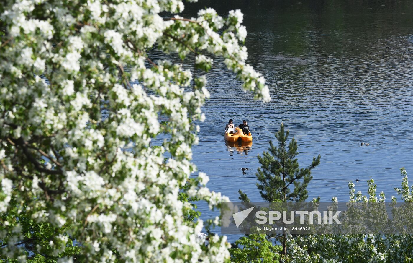 Russia Blooming Season