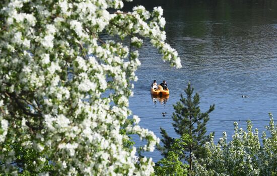 Russia Blooming Season