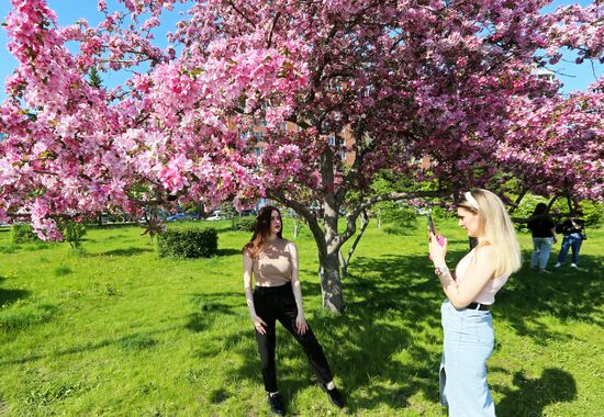 Russia Blooming Season