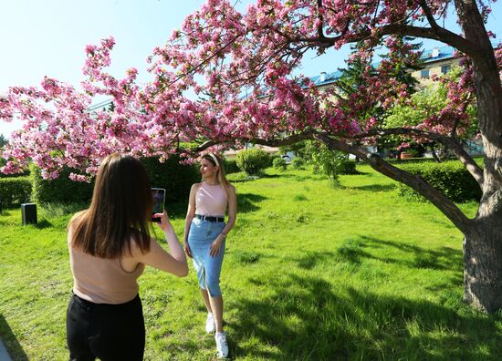 Russia Blooming Season