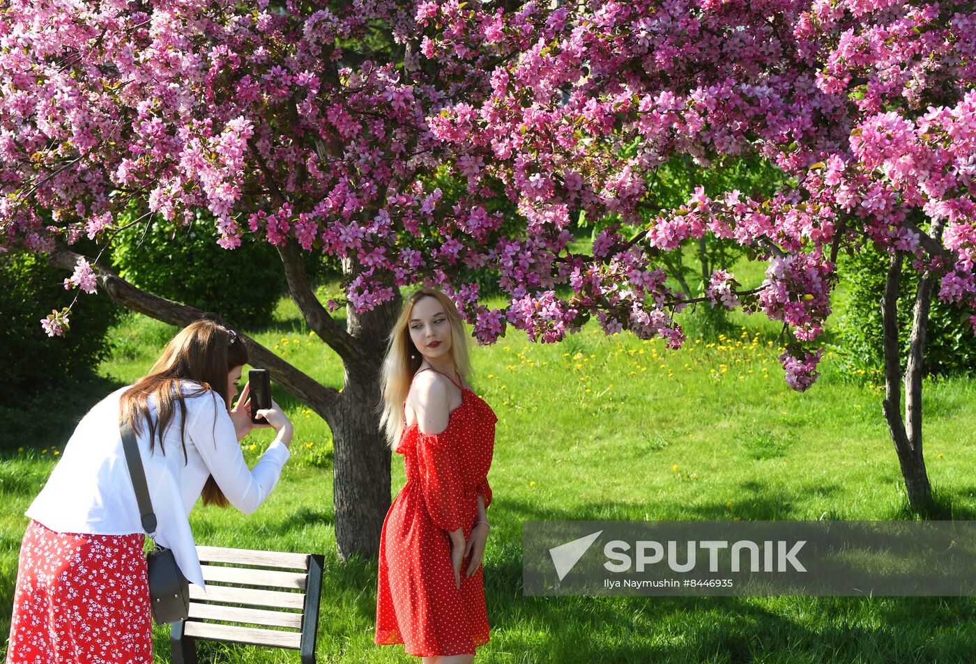Russia Blooming Season