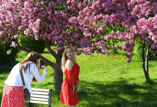 Russia Blooming Season