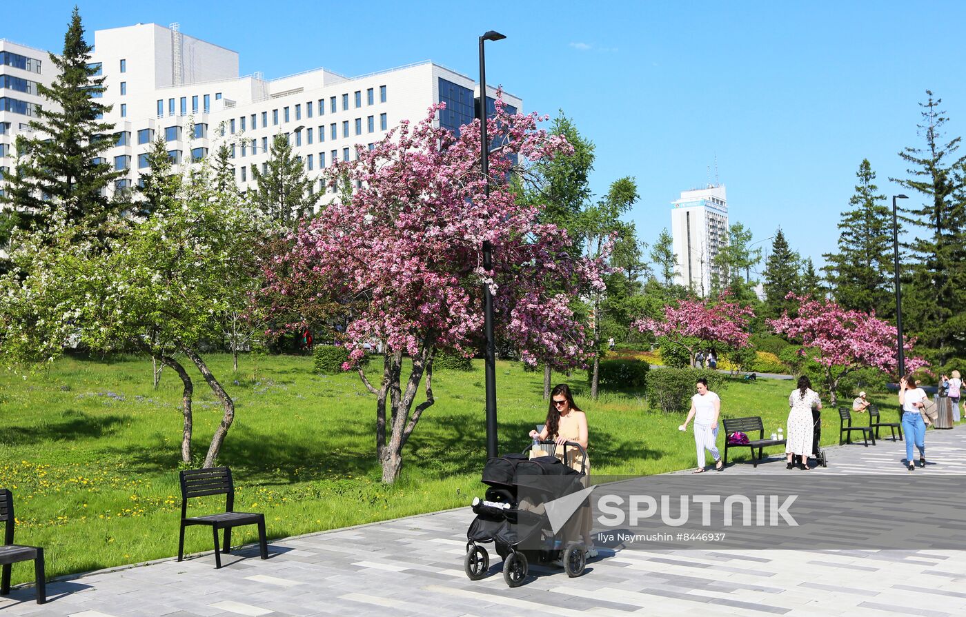 Russia Blooming Season