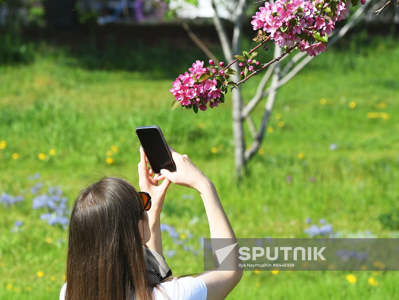 Russia Blooming Season