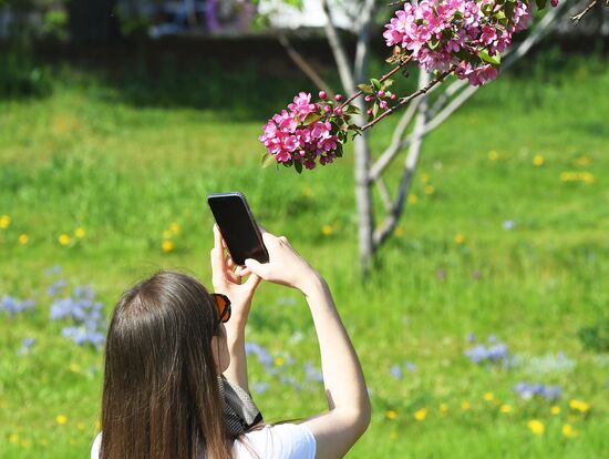 Russia Blooming Season