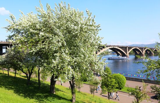 Russia Blooming Season